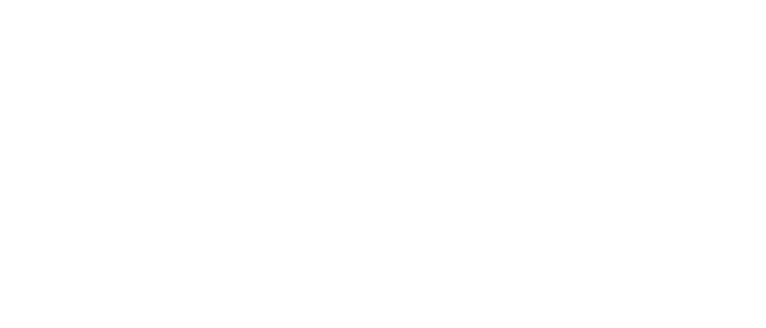 qr logo